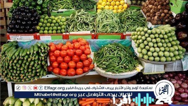 «أسعار الخضروات اليوم في أسواق المنيا» تعرف على أحدث المستجدات بتاريخ 1 يناير 2026