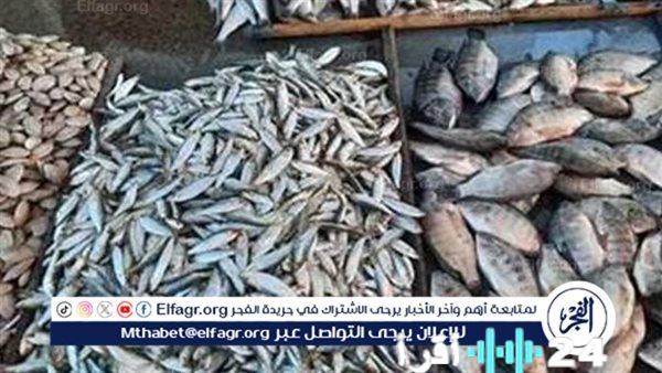 استقرار أسعار الأسماك في أسوان يوم الخميس 15 يناير 2026