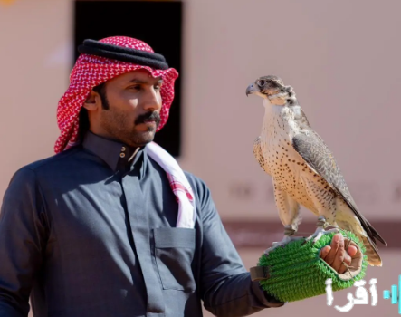 غدًا تبدأ أشواط الكؤوس في مهرجان الملك عبدالعزيز للصقور 2025