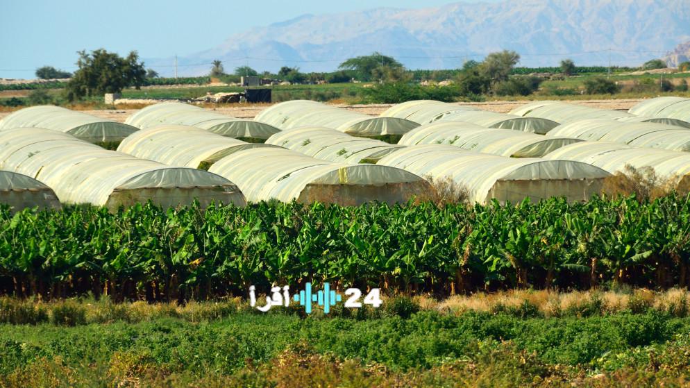 وزير الزراعة: الأمطار تعزز استعداد المحاصيل للموسم الجديد