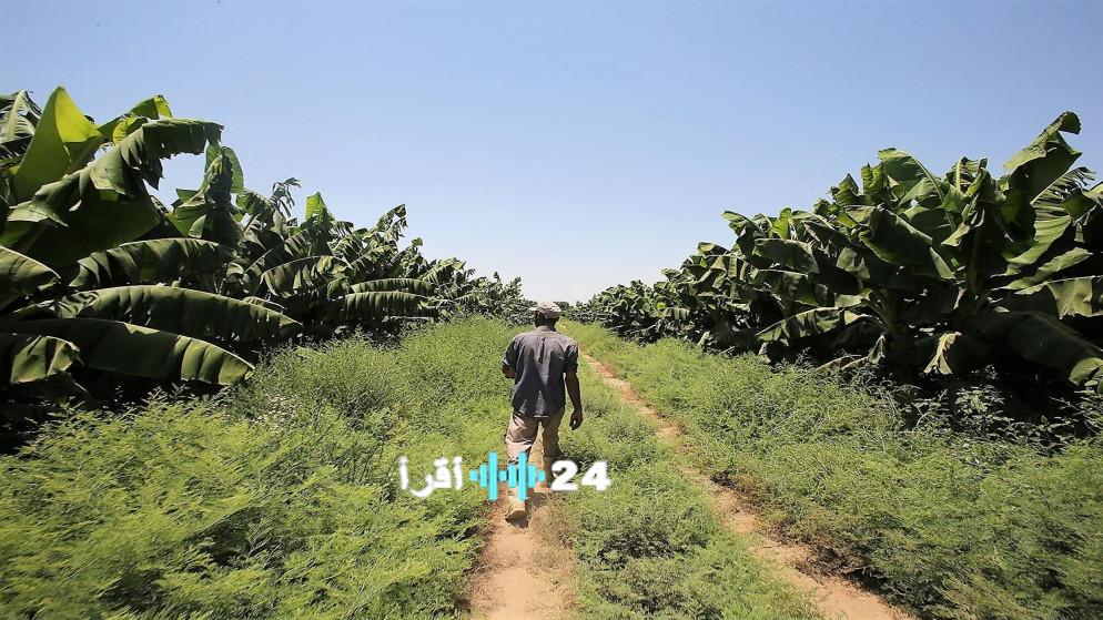 مزارعو وادي الأردن يناشدون الحكومة بعقد اجتماع عاجل في الأغوار