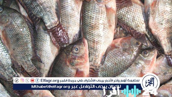 ارتفاع ملحوظ في أسعار بعض أصناف السمك اليوم الخميس 15 يناير 2026 في محافظة المنيا