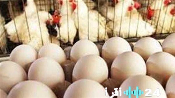 «مؤشرات حاسمة تلامس ميزانية كل بيت» تقرير القيمة السوقية للبروتينات البيضاء بتاريخ 19 يناير 2026