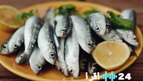 أسعار الأسماك والمأكولات البحرية تواصل التحرك اليوم الأربعاء 28 يناير 2026