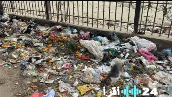 القمامة تهدد صحة أطفال حكر التبين البحري وسط اتهامات بحي التبين بالتقاعس عن التدخل