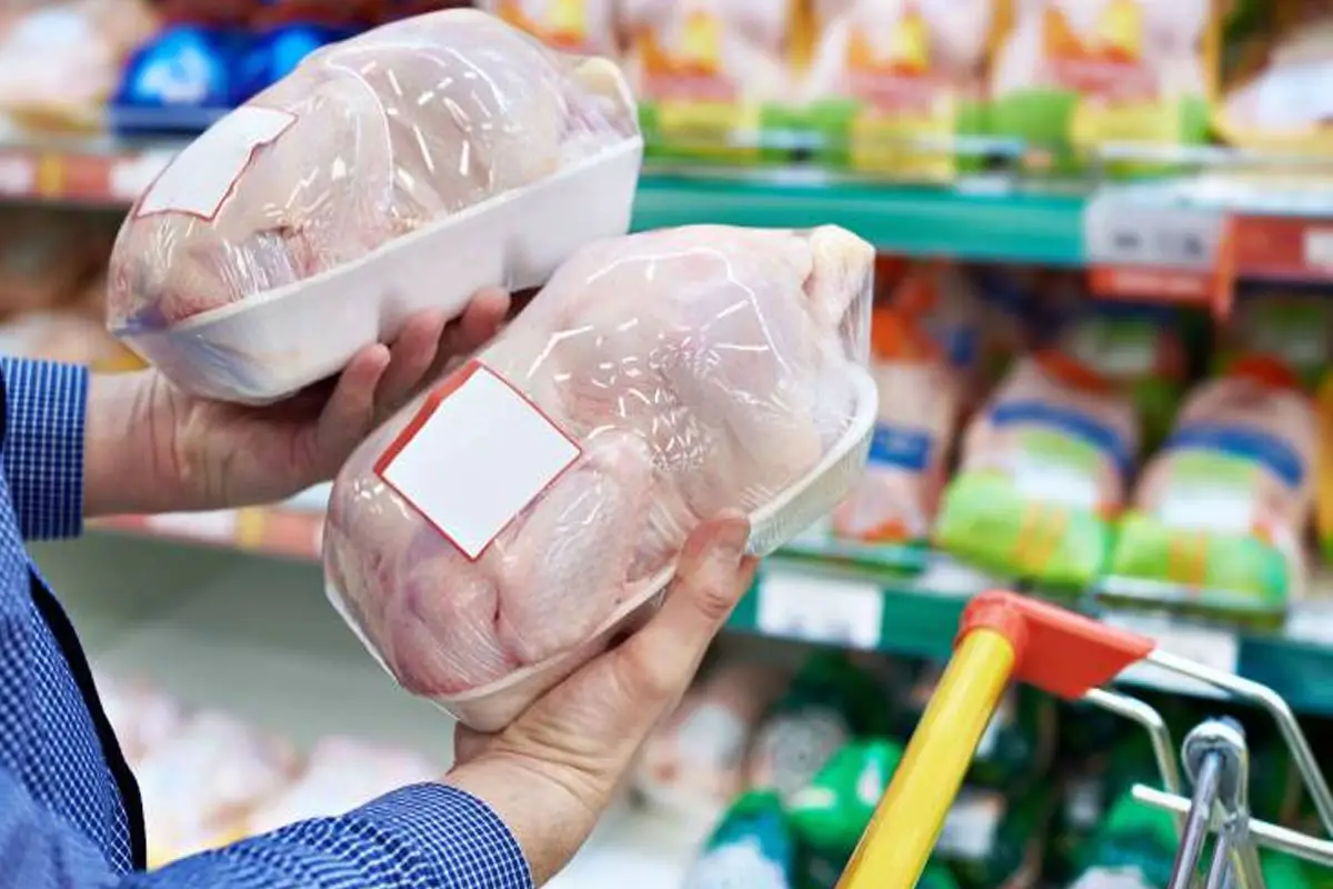 «مطالبات عاجلة للحكومة» دعوات لفرض رسوم على الدواجن المجمدة لتفوق سعرها الطازجة بنسبة 25%