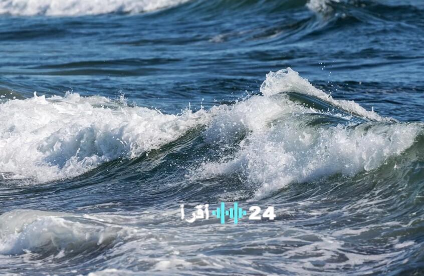 «بوابة مصر البحرية» ميناء دمياط: تحليل الموقف التشغيلي اليوم الأحد 25 يناير 2026