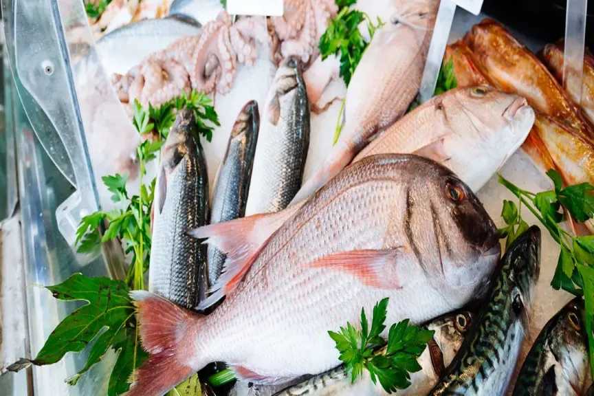 أسعار المأكولات البحرية اليوم في مصر من السوق إلى المستهلك