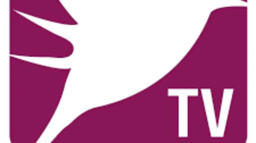 بدون تشويش.. تردد قناة أفلام لبنانية جريئة للغاية 2026