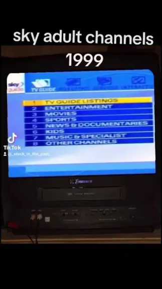 تردد قناة Adult Movies الجديد للكبار فقط ودليل الاستقبال الشامل