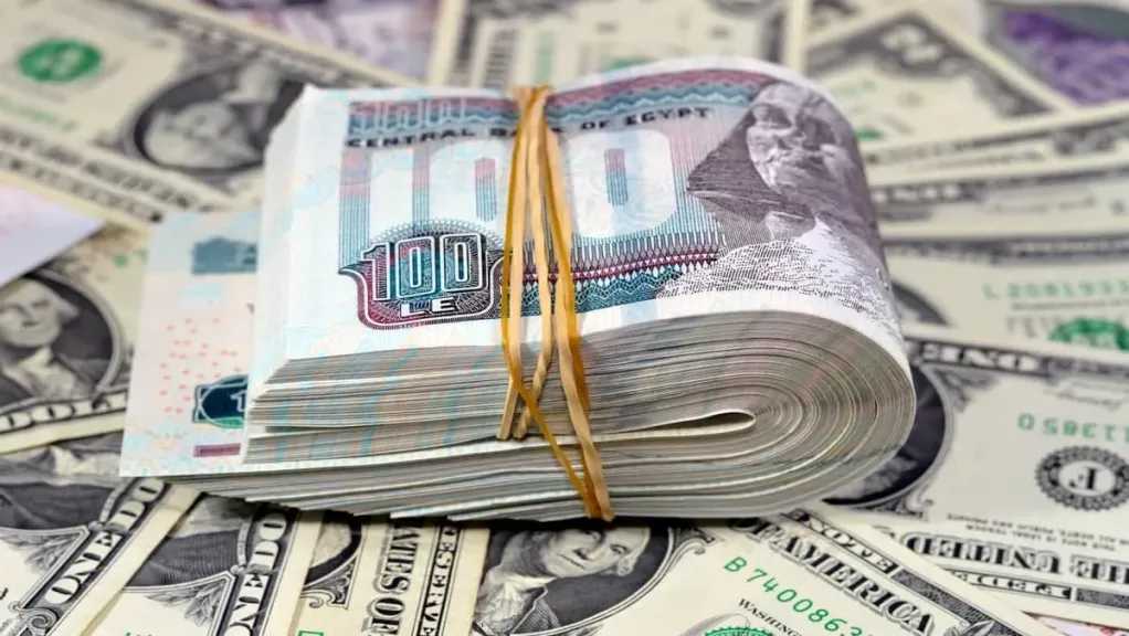 سعر الدولار مقابل الجنيه المصري اليوم الأربعاء 28 يناير 2025 في البنوك مع التحديثات الأخيرة