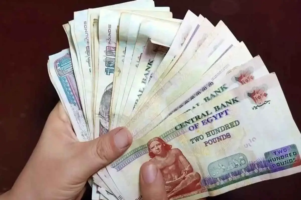 خفض الفائدة في 2026 يؤثر على استراتيجيات الاستثمار ويعيد تشكيل توزيع المدخرات للأفراد