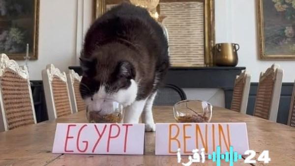 توقعات نيمبوس بفوز منتخب مصر على بنين في دور الـ16 من بطولة أمم إفريقيا