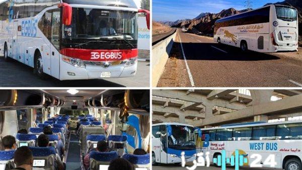أسطول النقل يتعزز بـ 529 حافلة جديدة: دفعة قوية لخدمات الركاب والبضائع