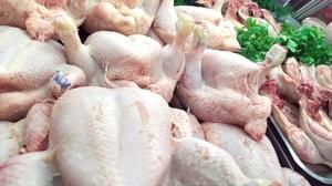وفرة ملحوظة في اللحوم البيضاء واستقرار الأسعار خلال شهر رمضان