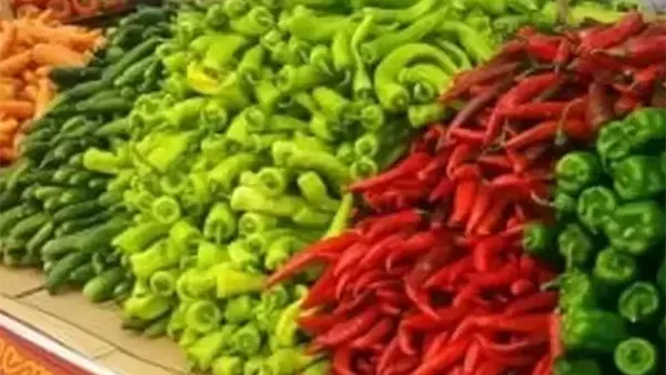 أسعار الخضروات اليوم الخميس 22 يناير 2026