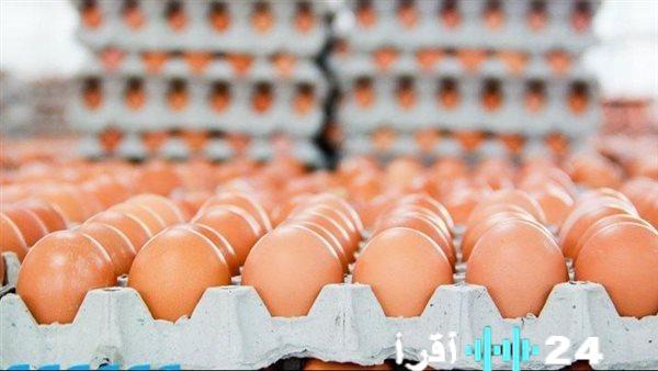 ارتفاع ملحوظ في أسعار كرتونة البيض اليوم الأربعاء في بورصة الدواجن