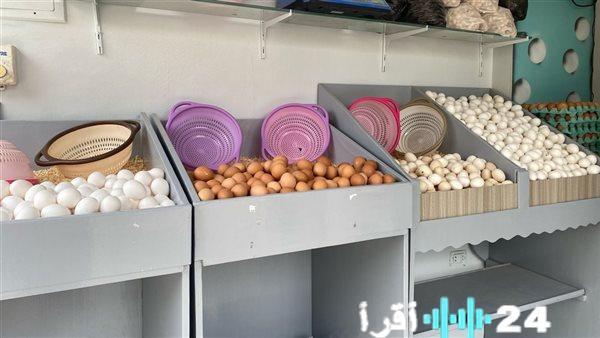 أسعار البيض تنخفض بشكل ملحوظ في بورصة الدواجن.. انخفاض يصل إلى 15 جنيها في أحدث تعاملات اليوم الجمعة 9-1-2026