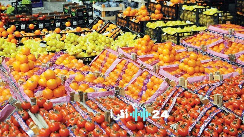 الموالح المصرية تتصدر الصادرات الزراعية بـ 2.2 مليون طن في 2025