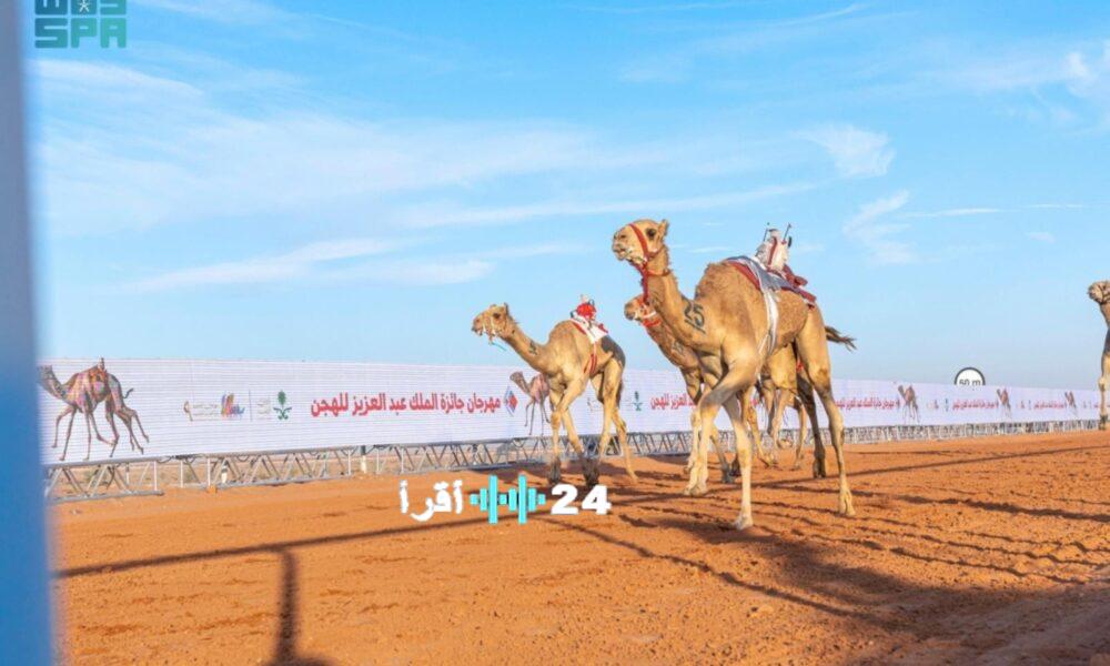 نتائج مهرجان الملك عبدالعزيز للإبل تتضمن تتويج أبطال الوضح والشعل