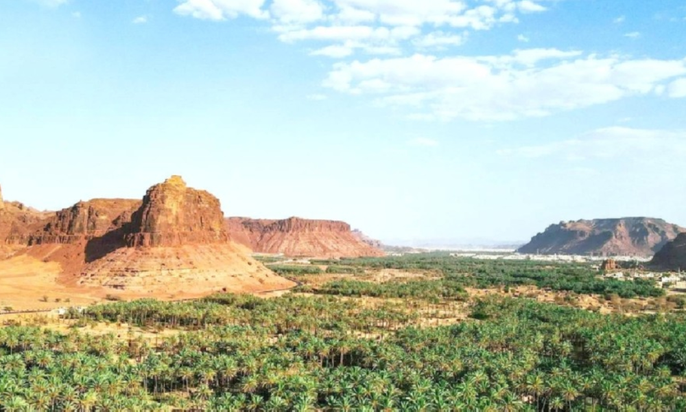 غرامات بيئية مشددة توقف القيادة العشوائية في العلا