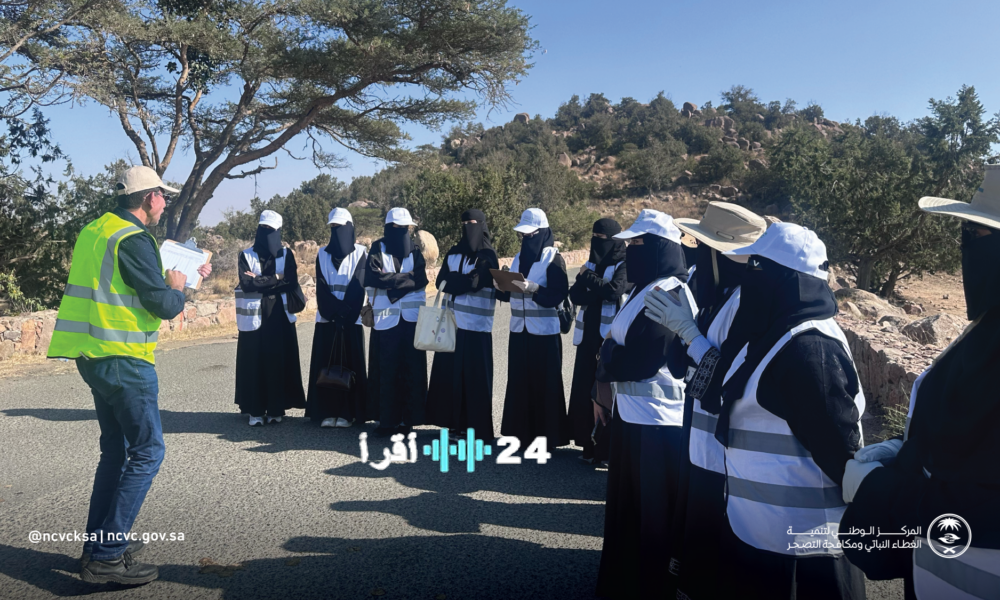 السعودية تستثمر في كوادر وطنية لقيادة مسيرة تخضير الغابات وتعزيز الغطاء النباتي