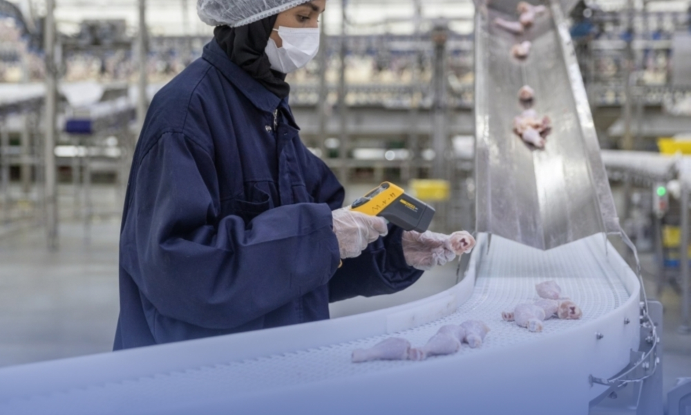 سعودي قاب تعلن 90% من إنتاج الدواجن بالمملكة يعزز الأمن الغذائي الوطني