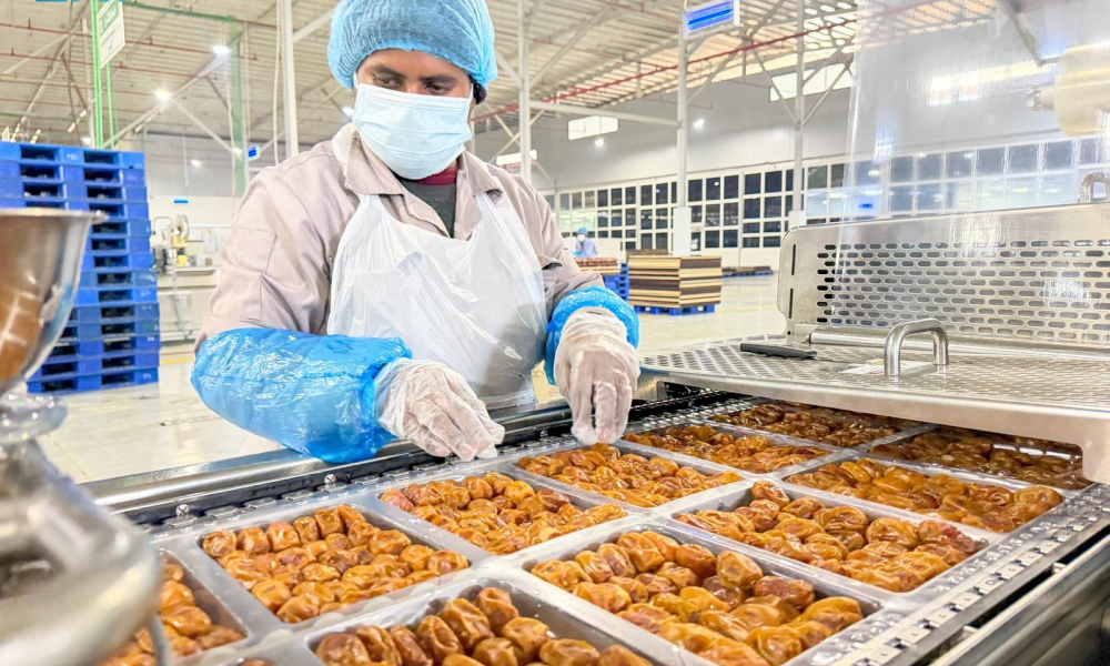 التمور السعودية تُعمّق انتشارها في 14 سوقاً عالمياً ضمن مستهدفات رؤية 2030