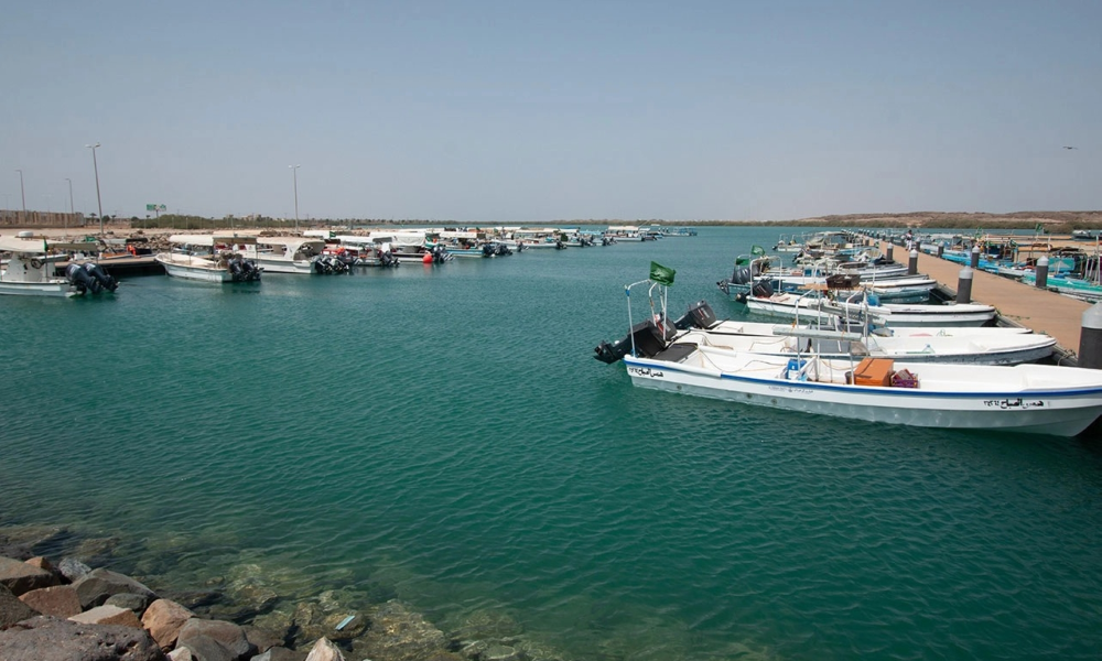 رييف السعودية يعزز قدرات الصيادين بمحركات وأجهزة استغاثة متطورة