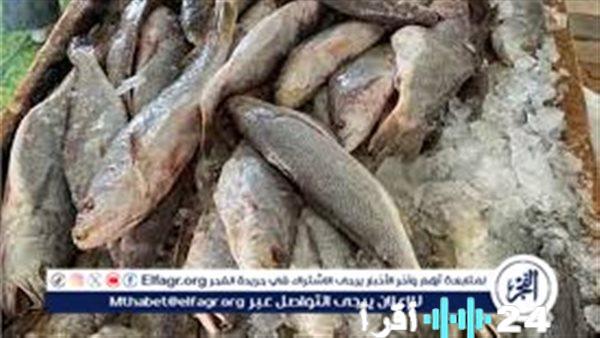 أسعار السمك في أسوان اليوم الثلاثاء 13 يناير 2026