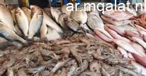 أسماك البلطي تتوفر بسعر 100 جنيه في الأسواق