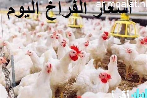 «موجة أسعار جديدة تضرب الأسواق» الدواجن تستقر عند 130 جنيهاً للشامورت ومخاوف المستهلكين تتصاعد