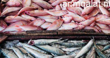 أسعار سمك البلطي في كفر الشيخ الخميس 1 يناير 2026