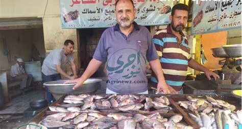 سعر سمك البلطى في أسواق القليوبية اليوم الثلاثاء 27 يناير 2026