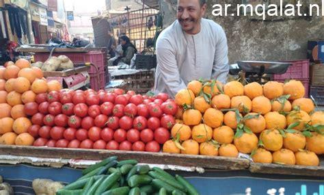 أسعار الفاكهة والخضروات في كفر الشيخ اليوم السبت 17 يناير تتصدرها الطماطم بـ10 جنيهات