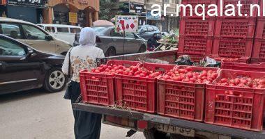 أسعار الخضروات والفواكه في كفر الشيخ الخميس 15 يناير 2026 تشمل الطماطم بـ12.5 جنيه