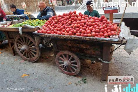 أسعار الخضروات والفواكه في كفر الشيخ يوم الاثنين 12 يناير 2026 تتصدرها الطماطم بـ8 جنيهات