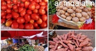 أسعار الطماطم اليوم في الأقصر وثبات أسعار الخضروات يوم السبت