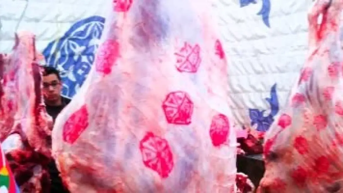 أسعار اللحوم والدواجن تشهد تخفيضات بنسبة 20% في منافذ وزارة التموين بمصر اليوم