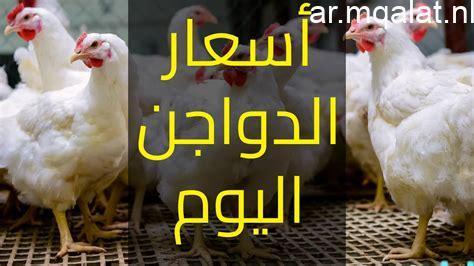 «المائدة المصرية» تحديث أسعار الدواجن الطازجة بأسواق القليوبية الخميس 29 يناير 2026 والكيلو الأبيض يستقر عند 80 جنيهًا