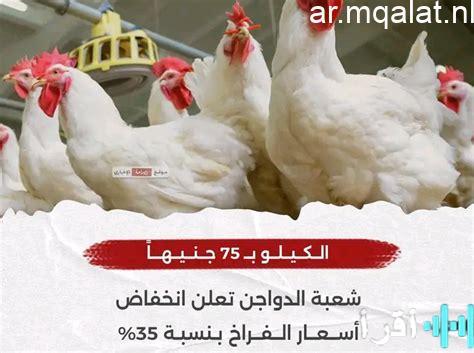 شعبة الدواجن تعلن استقرار أسعار السوق وحرص الدولة على تأمين مستلزمات الإنتاج