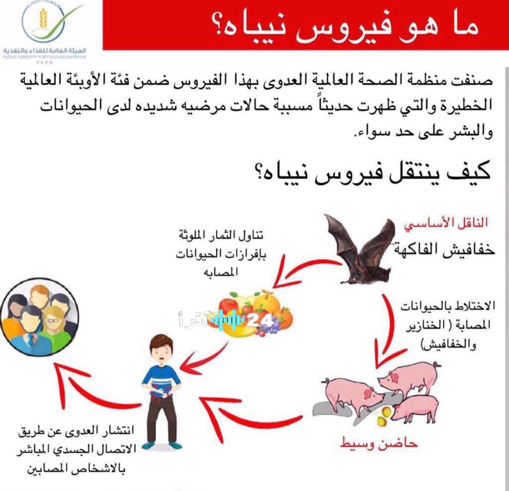 فيروس نيباه وأعراضه وطرق العدوى ووسائل الوقاية