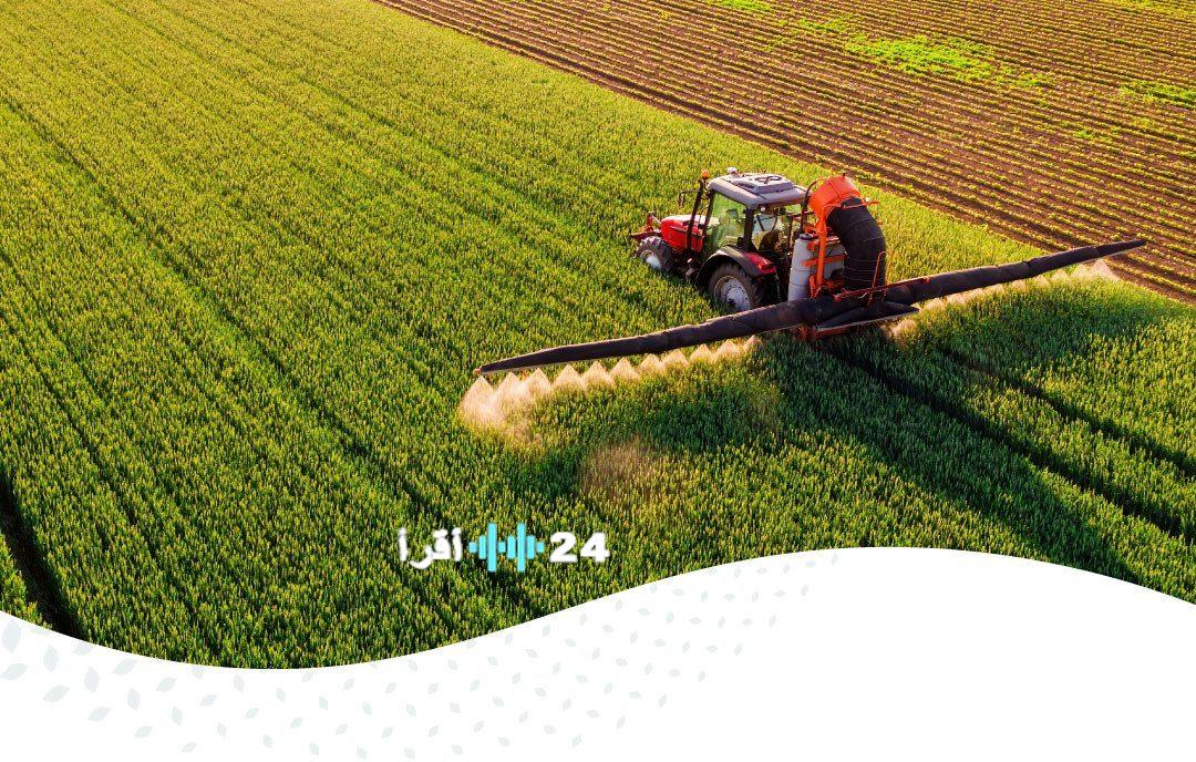 الأمن الغذائي يطلق أولى مناقصات استيراد القمح للعام الحالي