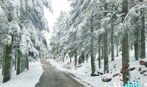 أمطار غزيرة ورياح شديدة وتساقطات ثلجية متوقعة في بعض مناطق المملكة من نهاية الأسبوع الحالي