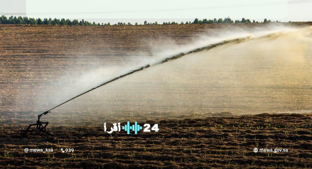 حظر زراعة الأعلاف المعمرة بالرف الرسوبي: الموعد النهائي يُعلن