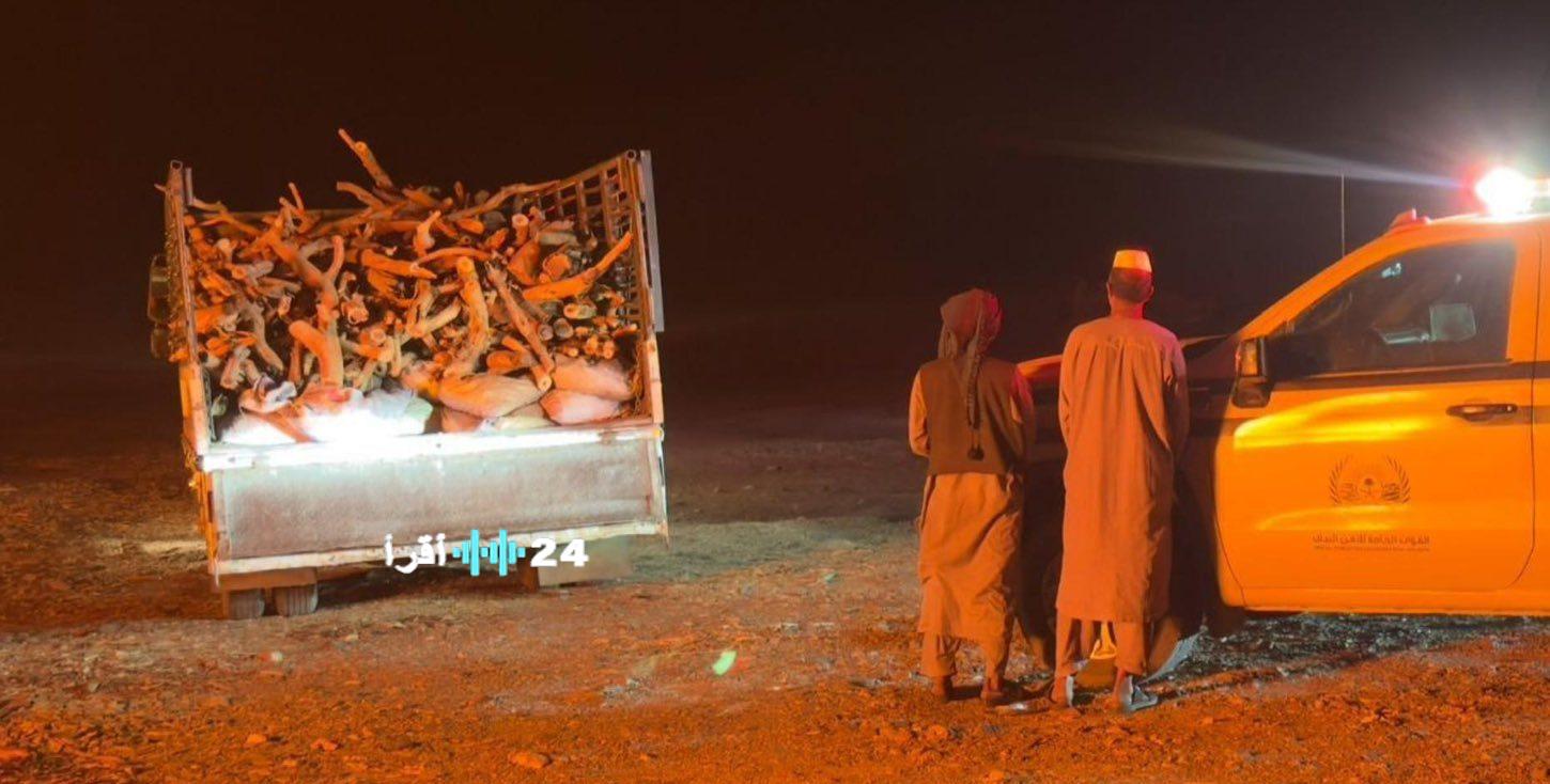 ضبط متورطين بإتلاف وحرق الأشجار لإنتاج الفحم