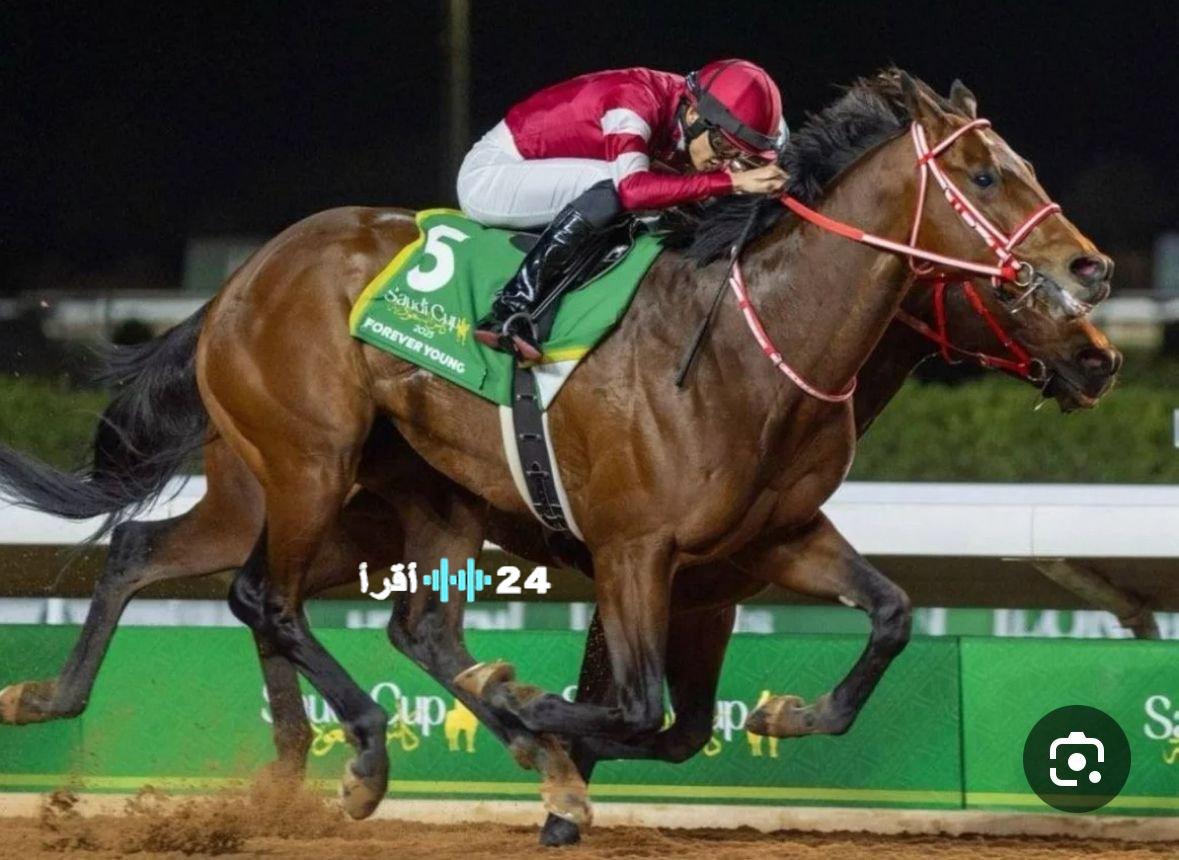 الحصان الياباني فوريفر يعود إلى الرياض للدفاع عن لقبه في كأس السعودية