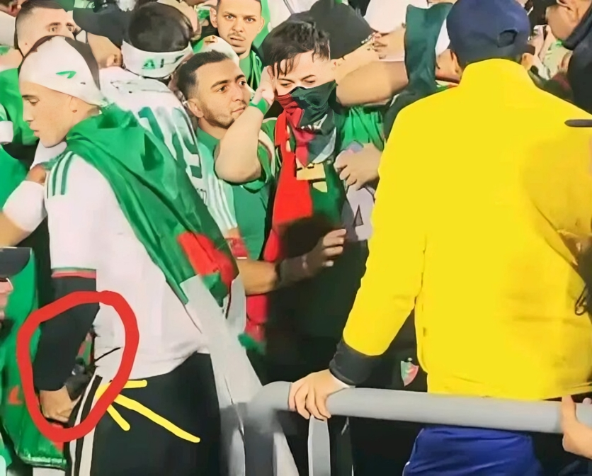 النيابة العامة تلاحق مشجعًا بسرقة جهاز اتصال أمني عقب مباراة الجزائر ونيجيريا