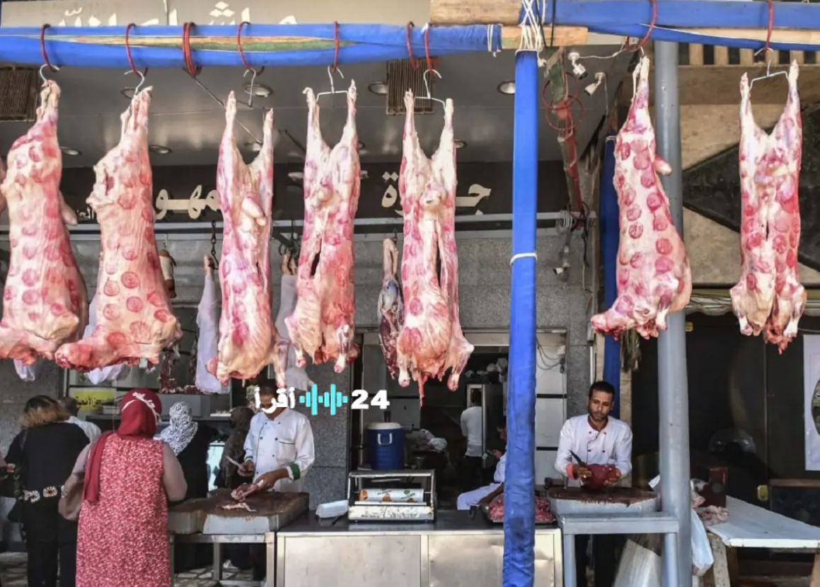 أسعار اللحوم اليوم في الأقصر الخميس 29 يناير 2026 استقرار البلدي والمستوردة بالمنافذ