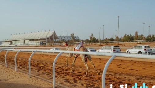 مهرجان خادم الحرمين للهجن يختتم غدًا منافسات اللقايا ويكشف أبطال المزاين